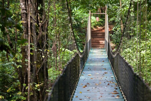 canopy walk in Costa Rica