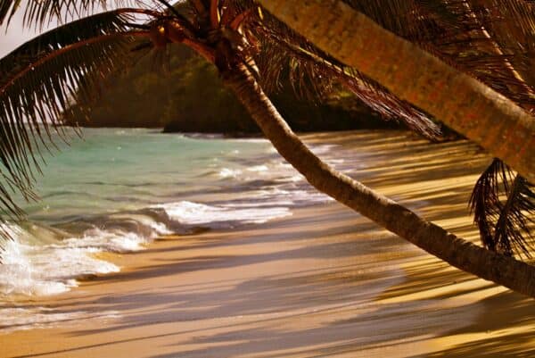 idyllic beach in Fiji