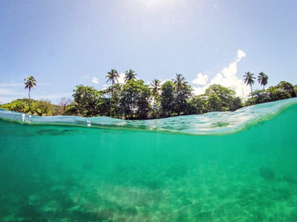 puerto rico nature tour